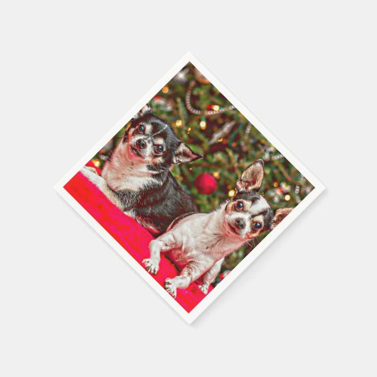 Weihnachten Chihuahuas Serviette (Ecke)