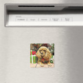 Weihnachten - Cockalier - Suzy Magnet (In Situ (Geschirrspüler))