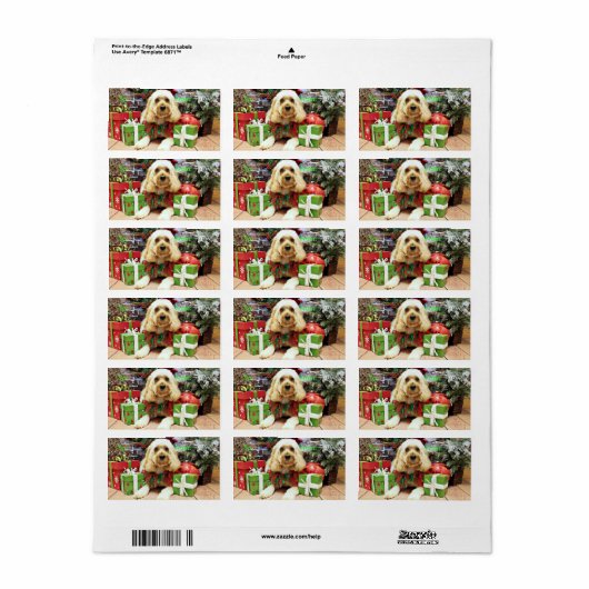 Weihnachten - Cockapoo - Buddy Adressaufkleber (Vorne)