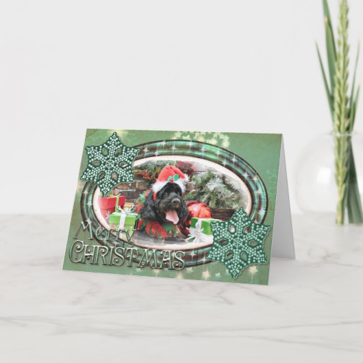 Weihnachten - Cockapoo - Jack (Vorderseite)