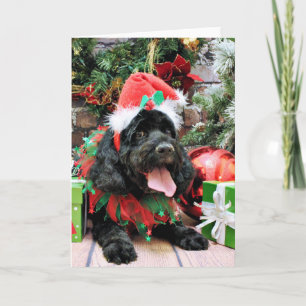 Weihnachten - Cockapoo - Jack