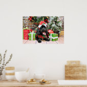 Weihnachten - Cockapoo - Jack Poster (Küche)