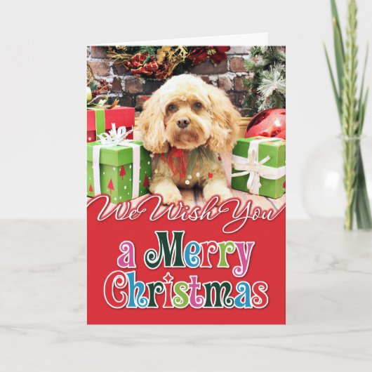 Weihnachten - Cockapoo - Morgan (Vorderseite)