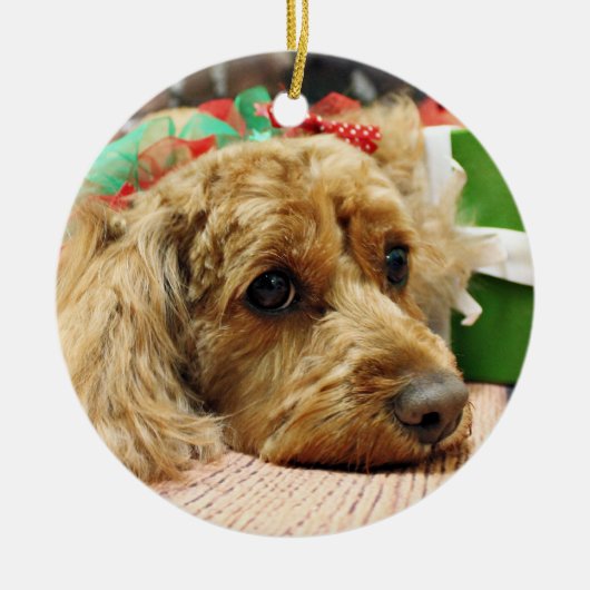 Weihnachten - Cockapoo - Odie Keramik Ornament (Vorne)