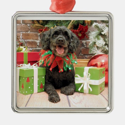 Weihnachten - Cockapoo - Trumbo Silbernes Ornament (Vorne)