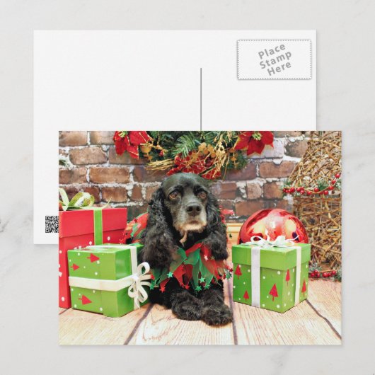 Weihnachten - Cocker spaniel - Lilie (Vorne/Hinten)