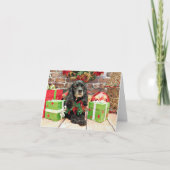 Weihnachten - Cocker Spaniel - Lily (Vorderseite)