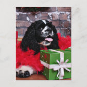 Weihnachten - Cocker Spaniel - Maggie (Vorderseite)