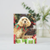 Weihnachten - Cocker Spaniel - Maggie (Stehend Vorderseite)