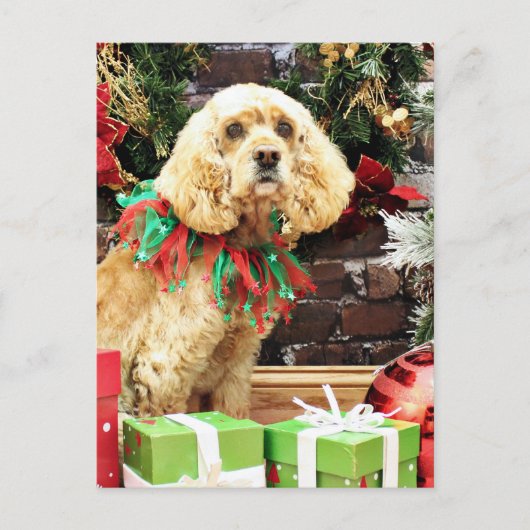 Weihnachten - Cocker Spaniel - Maggie (Vorderseite)