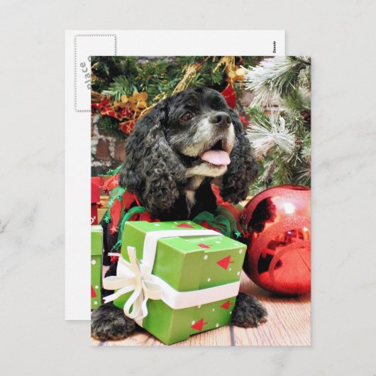 Weihnachten - Cocker Spaniel - Marshall (Vorne/Hinten)