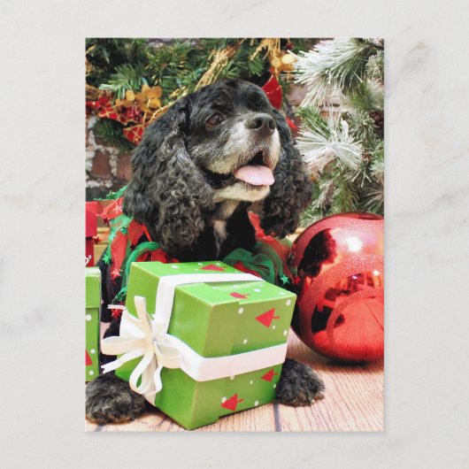 Weihnachten - Cocker Spaniel - Marshall (Vorderseite)