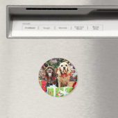 Weihnachten - Cocker Spaniel - Murphy - Calvin Magnet (In Situ (Geschirrspüler))