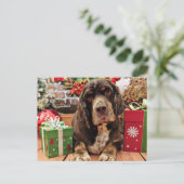 Weihnachten - Cocker Spaniel - Remmy (Stehend Vorderseite)