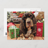 Weihnachten - Cocker Spaniel - Remmy (Vorne/Hinten)