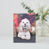 Weihnachten - Cocker Spaniel - Sammy (Stehend Vorderseite)