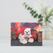 Weihnachten - Cocker Spaniel - Tobey (Stehend Vorderseite)