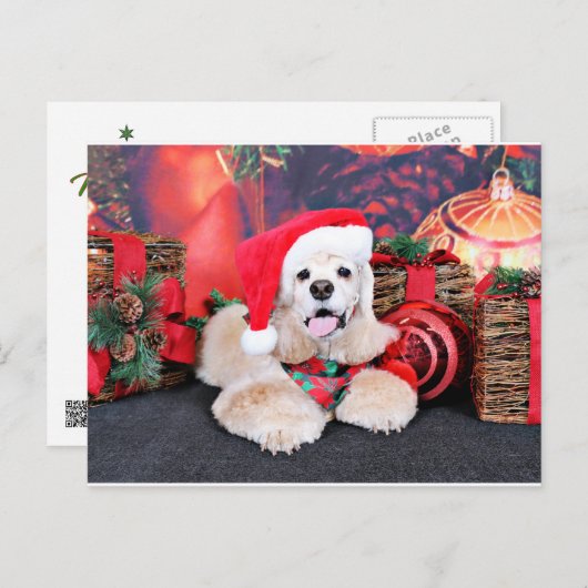 Weihnachten - Cocker Spaniel - Tobey (Vorne/Hinten)