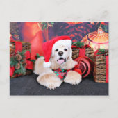 Weihnachten - Cocker Spaniel - Tobey (Vorderseite)