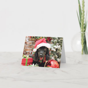 Weihnachten - Cocker Spaniel X - Pepper