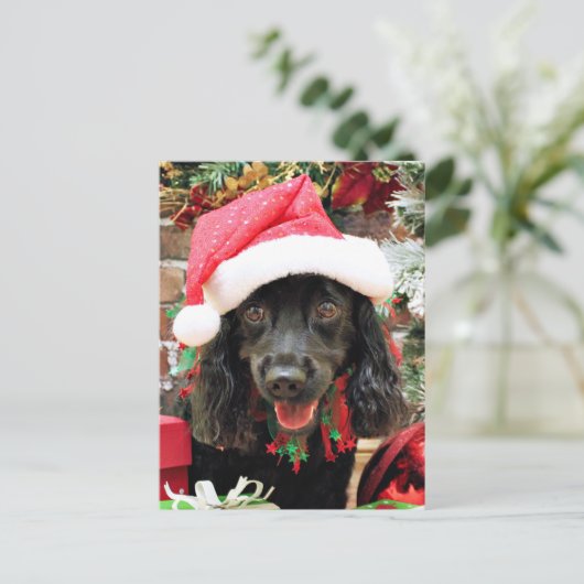 Weihnachten - Cocker Spaniel X - Pepper (Stehend Vorderseite)