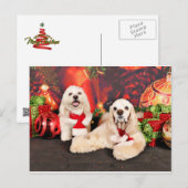 Weihnachten - Cocker - Toby, Havanese - Little T (Vorne/Hinten)