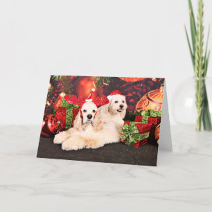 Weihnachten - Cockerspaniel - Toby, Havanese -