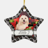 Weihnachten - Cockerspaniel - Toby, Havanese - Keramikornament (Hinten)
