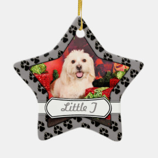 Weihnachten - Cockerspaniel - Toby, Havanese - Keramikornament