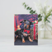 Weihnachten - Dackel - Buddy (Stehend Vorderseite)