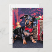 Weihnachten - Dackel - Buddy (Vorne/Hinten)