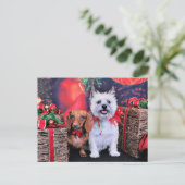 Weihnachten - Dackel Butch - Cairn Stella (Stehend Vorderseite)