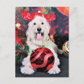 Weihnachten - Daisy - Goldendoodle (Vorderseite)