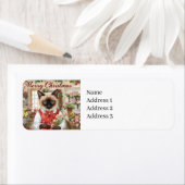 Weihnachten der Katze zum Thema für siamesische Ka (Insitu)