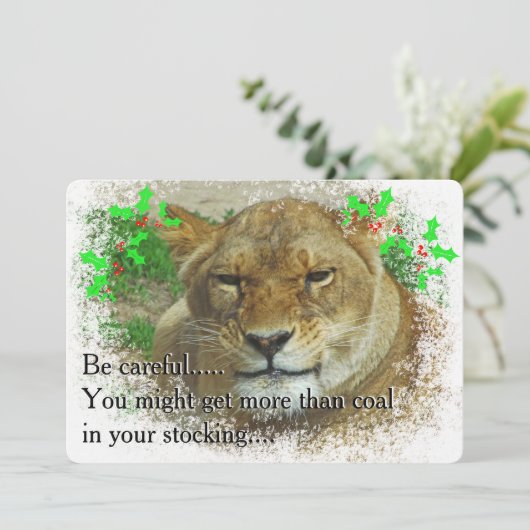 Weihnachten der Löwen (Stehend Vorderseite)