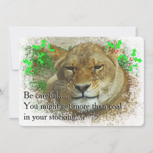 Weihnachten der Löwen