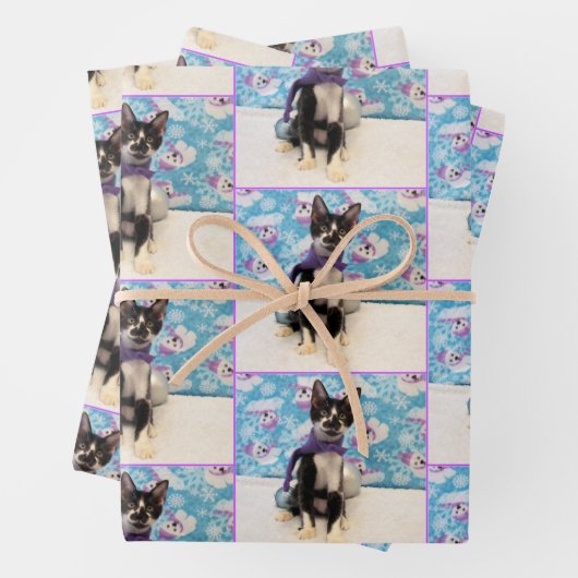 Weihnachten des Cowboys - Katze / Kitten Wrapping  Geschenkpapier Set (Beispiel)