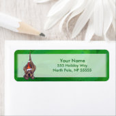 Weihnachten des Hundes auf Grün (Insitu)