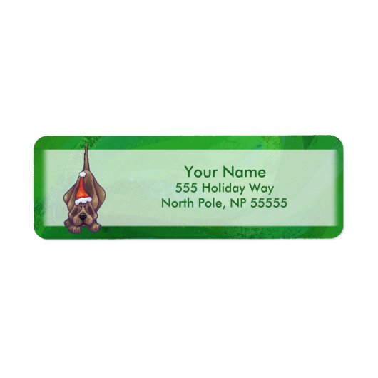 Weihnachten des Hundes auf Grün (Vorne)