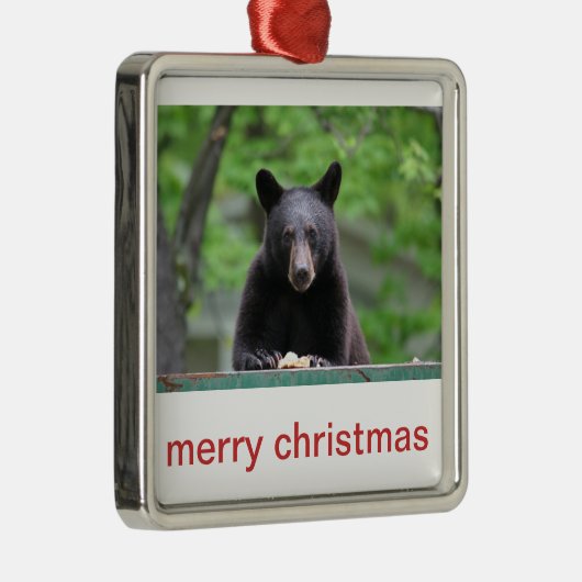 Weihnachten des schwarzen Bären Silbernes Ornament (Rechts)