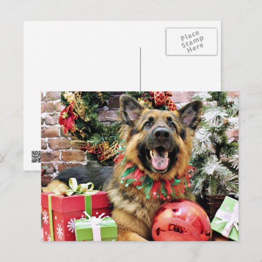 Weihnachten - Deutscher Schäferhund - Thor (Vorne/Hinten)