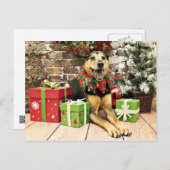Weihnachten - Deutscher Schäferhund X - Bailey (Vorne/Hinten)