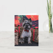 Weihnachten - Dexter - Cairn (Vorderseite)