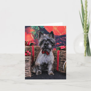 Weihnachten - Dexter - Cairn