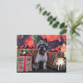 Weihnachten - Dexter - Steinhaufen (Stehend Vorderseite)