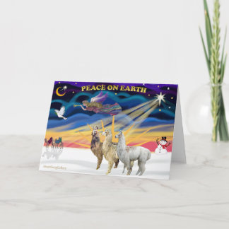 Weihnachten - drei Llamas