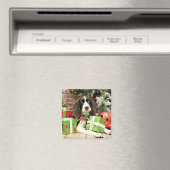Weihnachten - Englisch Springer Spanisch - Kinzie Magnet (In Situ (Geschirrspüler))