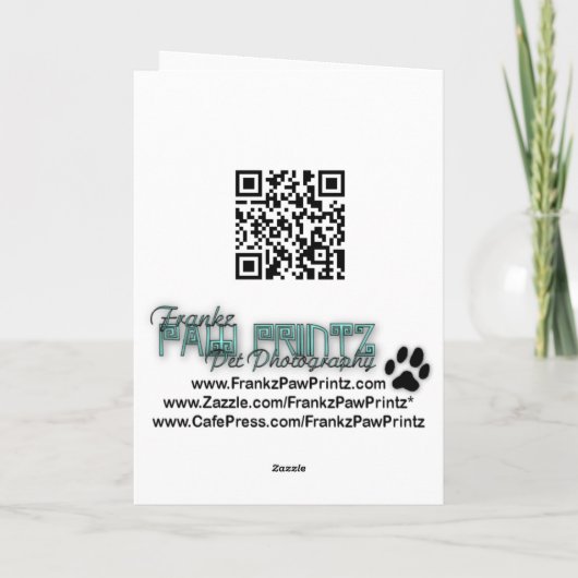 Weihnachten - Englisch Springer Spanisch - Logan (Rückseite)