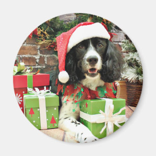Weihnachten - englischer SpringerSpaniel - Lucy Magnet