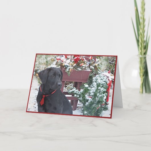 Weihnachten/Feiertag Karte ~ Labrador (Vorderseite)